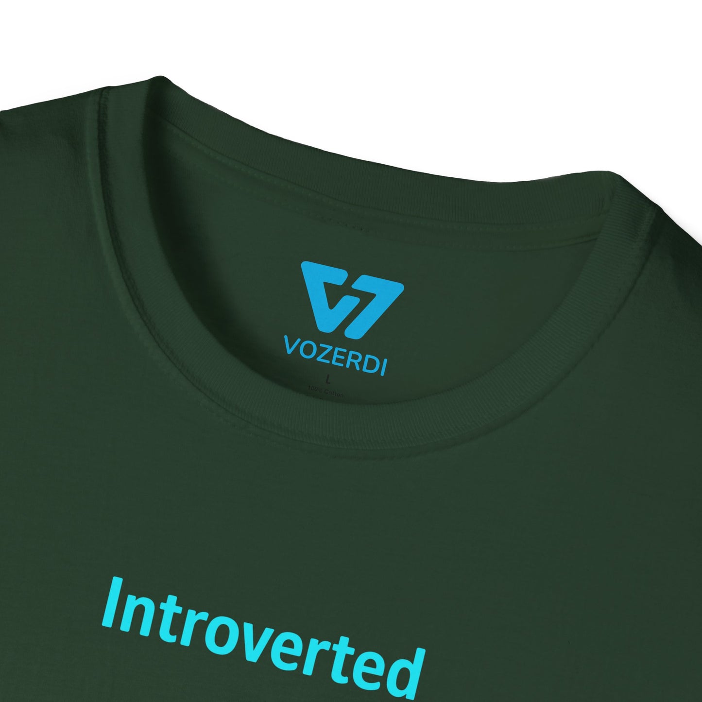 Introverted APIs But Willing To Discuss T-Shirt
