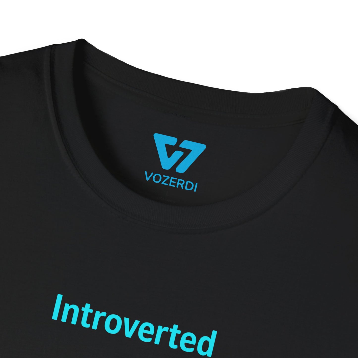 Introverted APIs But Willing To Discuss T-Shirt
