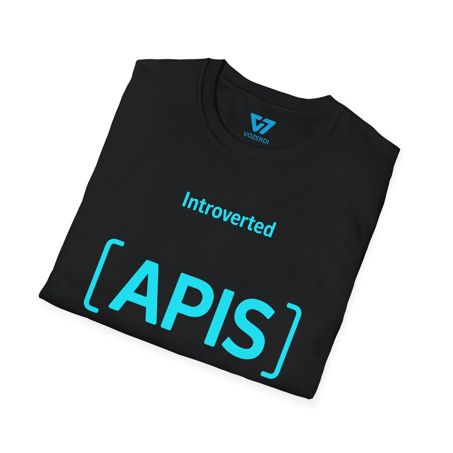 Introverted APIs But Willing To Discuss T-Shirt