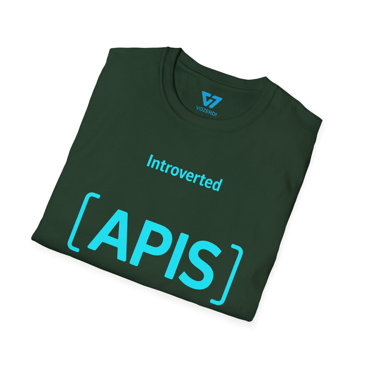 Introverted APIs But Willing To Discuss T-Shirt