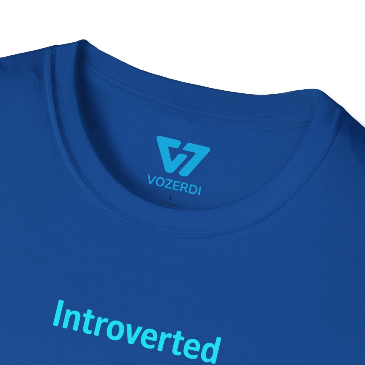 Introverted APIs But Willing To Discuss T-Shirt Introverted APIs But Willing To Discuss T-Shirt