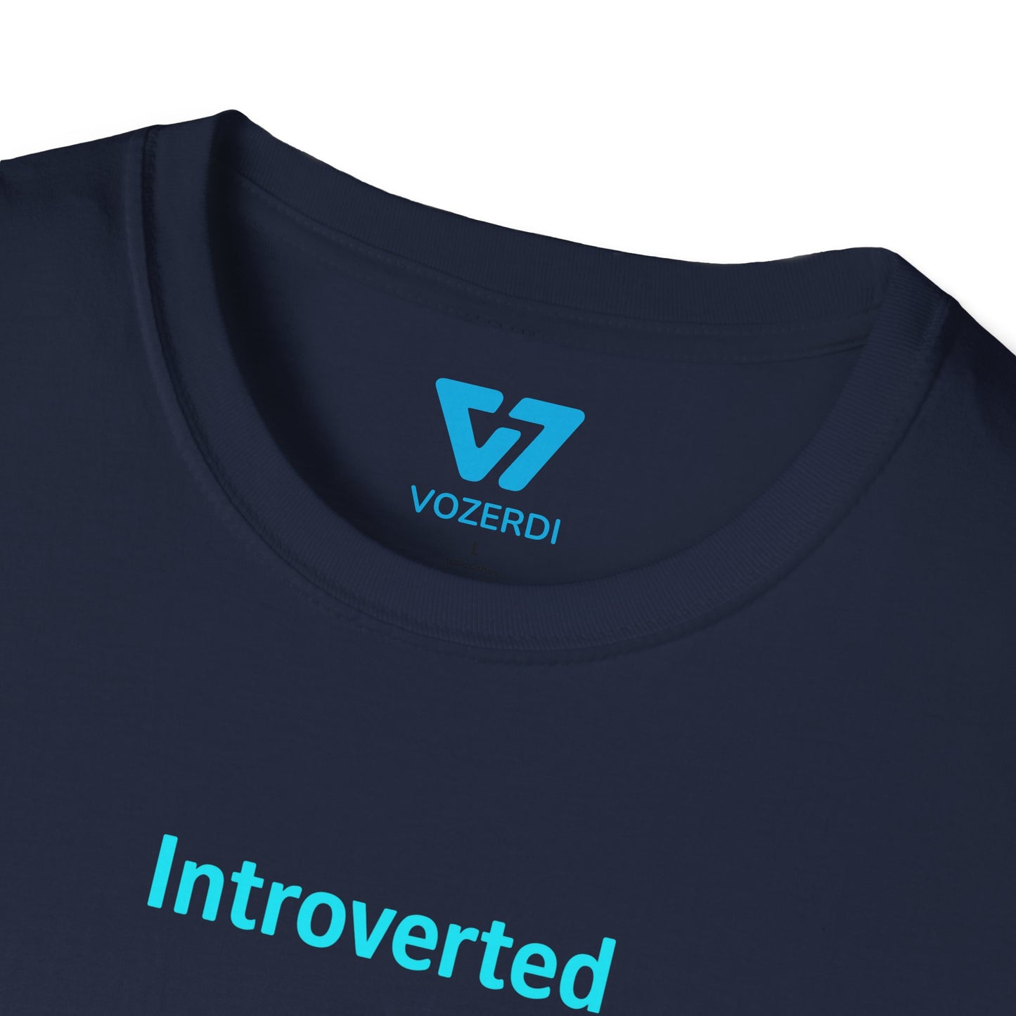 Introverted APIs But Willing To Discuss T-Shirt