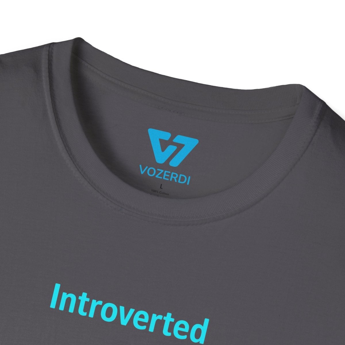 Introverted APIs But Willing To Discuss T-Shirt Introverted APIs But Willing To Discuss T-Shirt